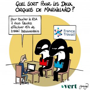 Impression dessin Orques du Marineland